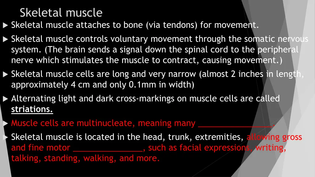 skeletal muscle skeletal muscle attaches to bone