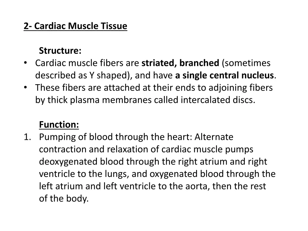 2 cardiac muscle tissue