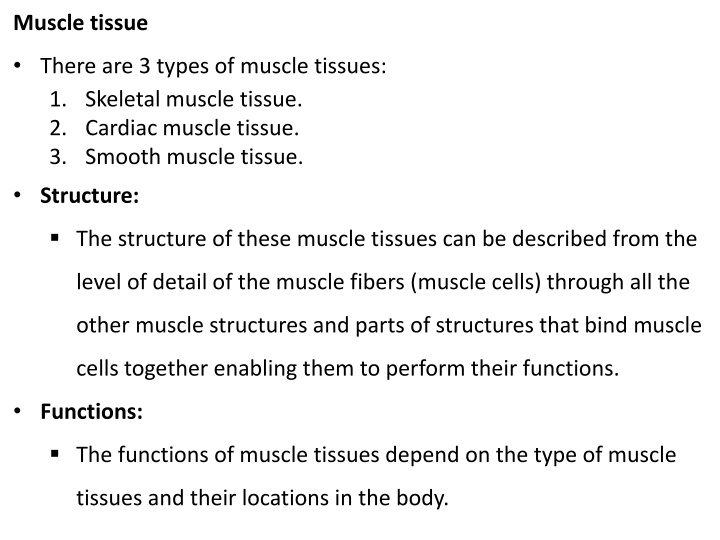 muscle tissue