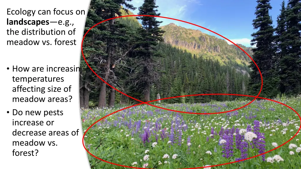 ecology can focus on landscapes 1