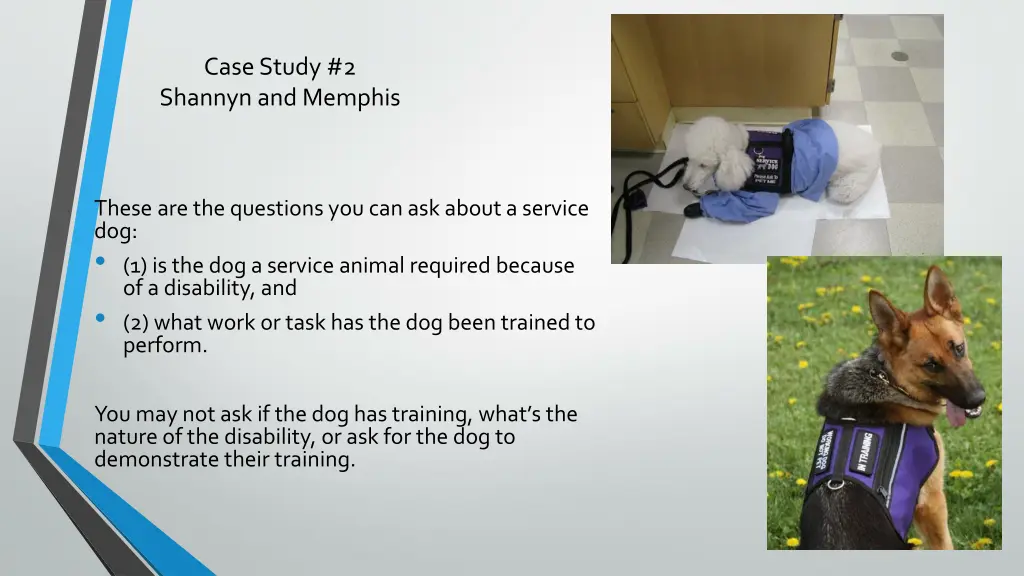 case study 2 shannyn and memphis