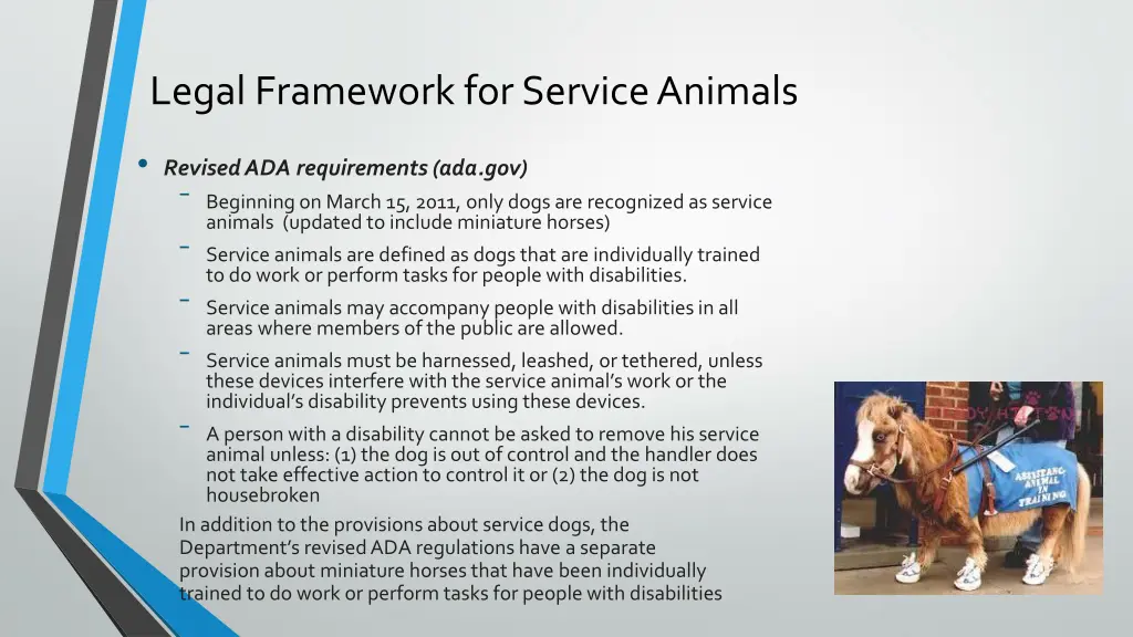 legal framework for service animals