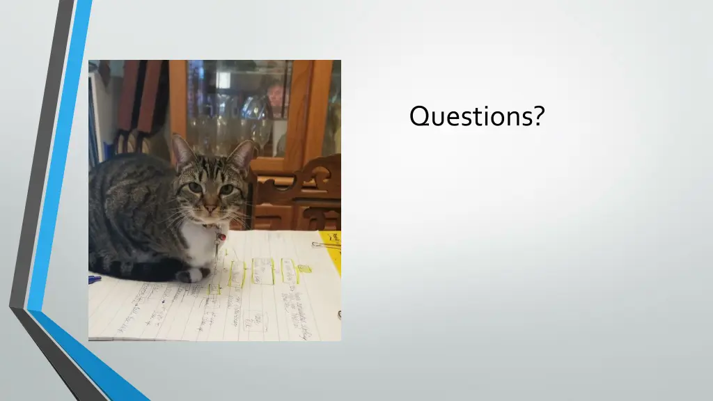 questions