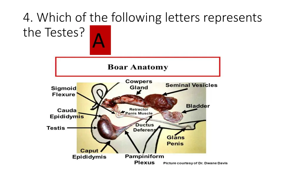 4 which of the following letters represents 1