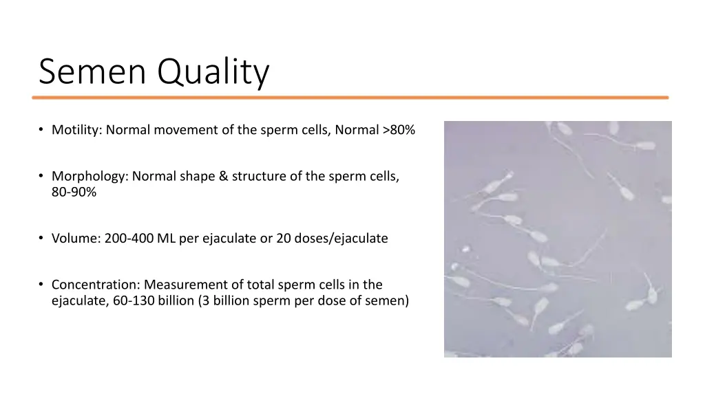 semen quality
