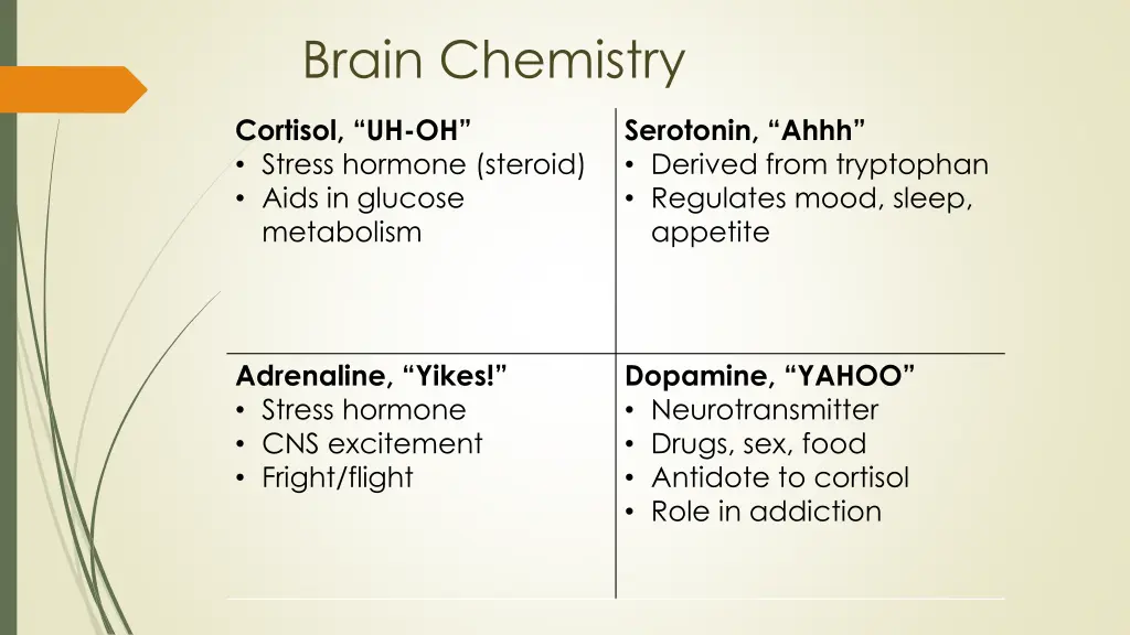 brain chemistry