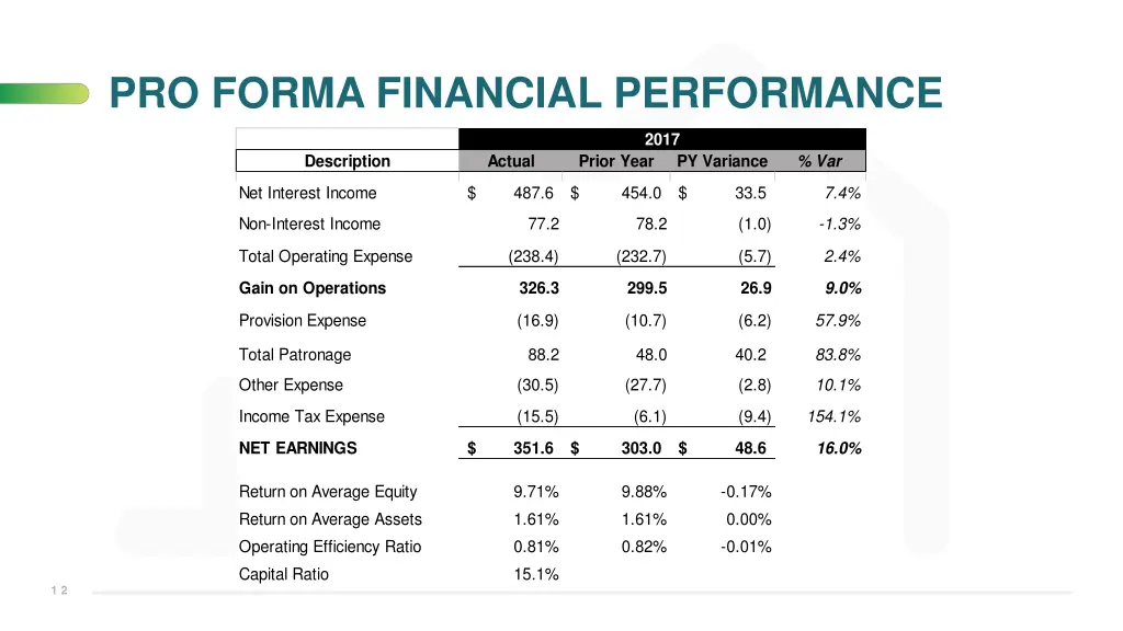 pro forma financial performance