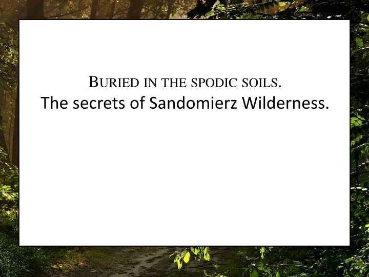 b uried in the spodic soils the secrets