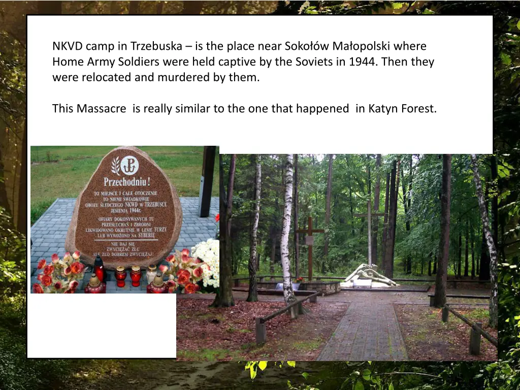 nkvd camp in trzebuska is the place near soko