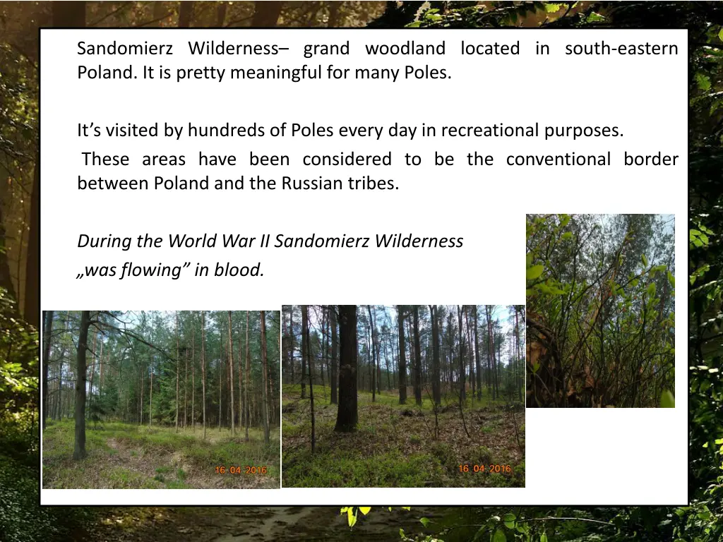 sandomierz wilderness grand woodland located