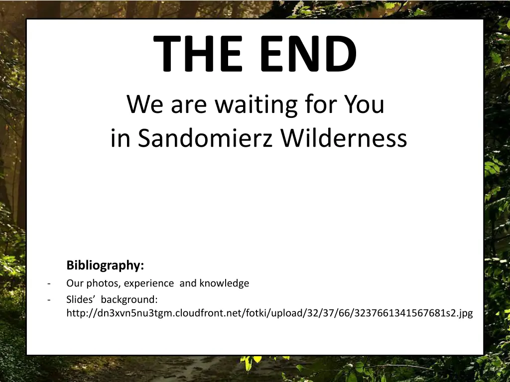 the end we are waiting for you in sandomierz