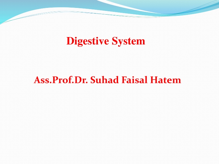 digestive system