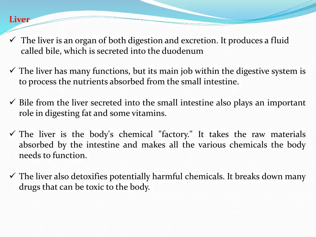 liver