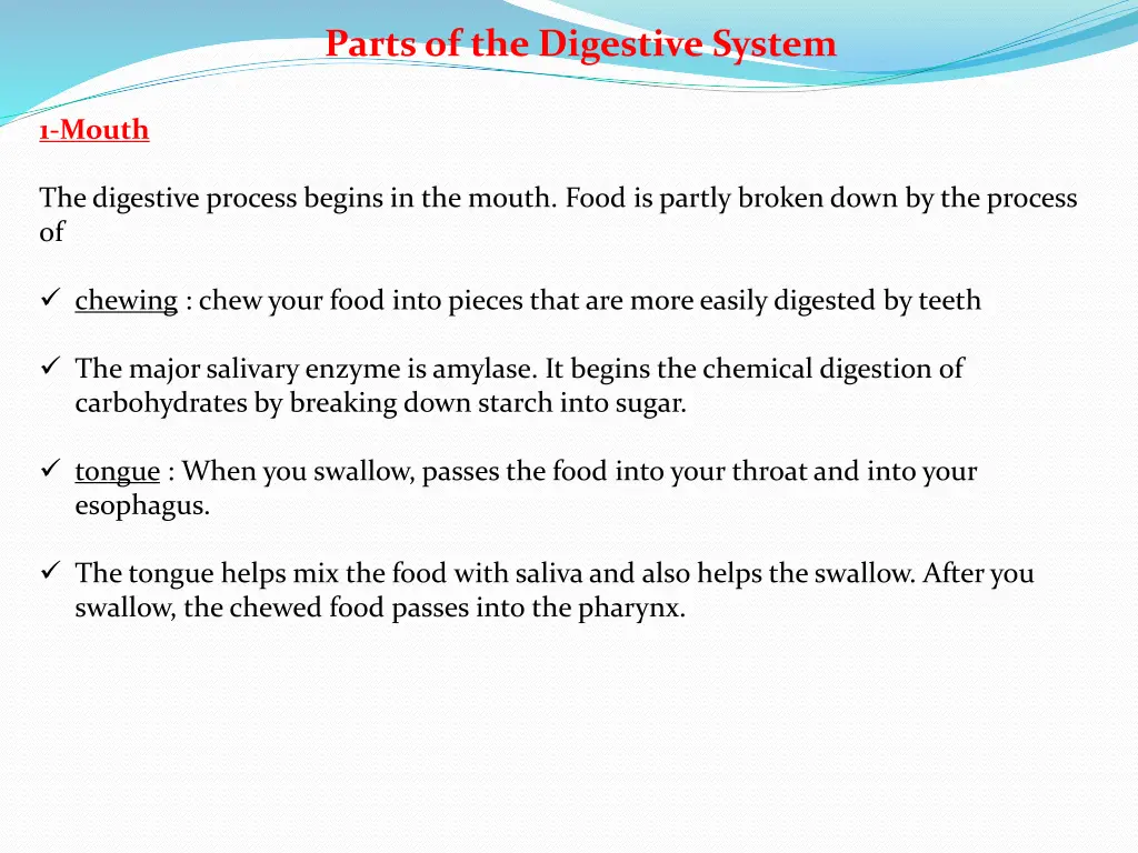 parts of the digestive system