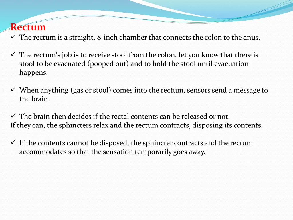 rectum the rectum is a straight 8 inch chamber