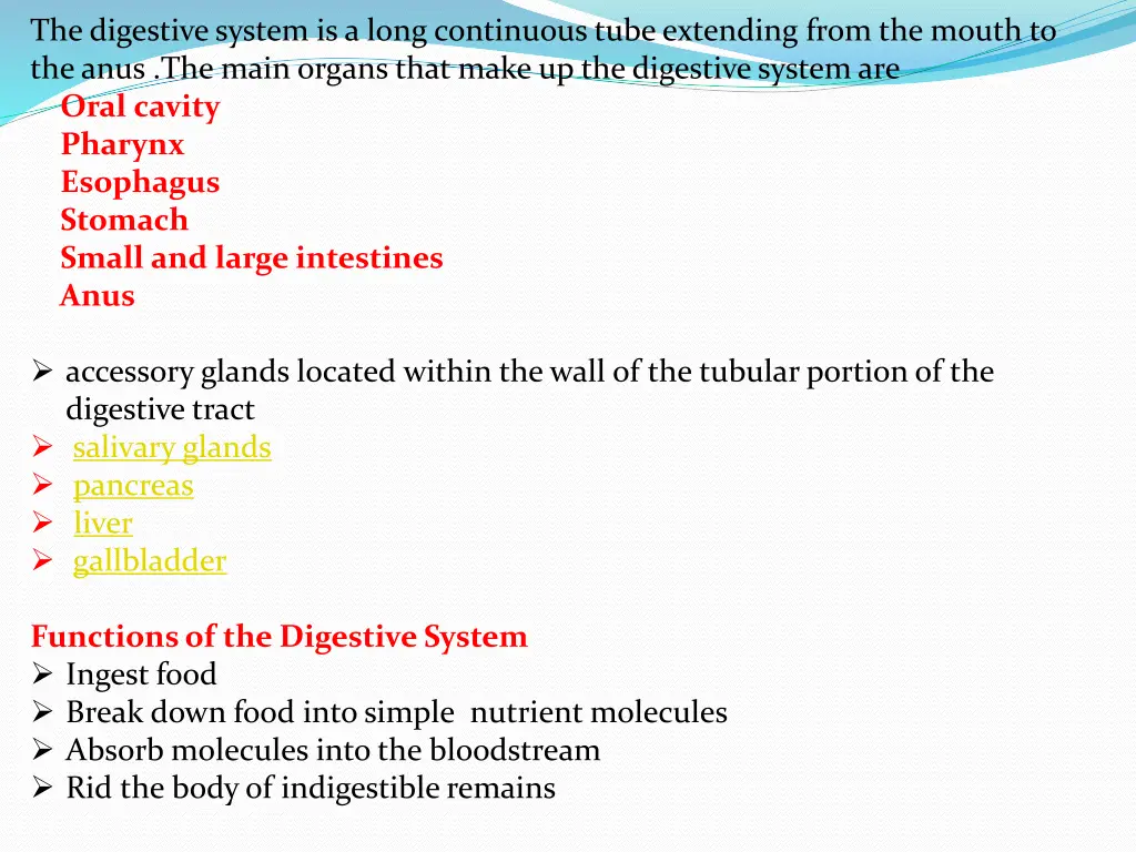 the digestive system is a long continuous tube