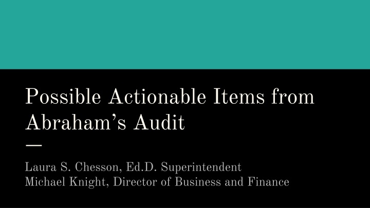 possible actionable items from abraham s audit