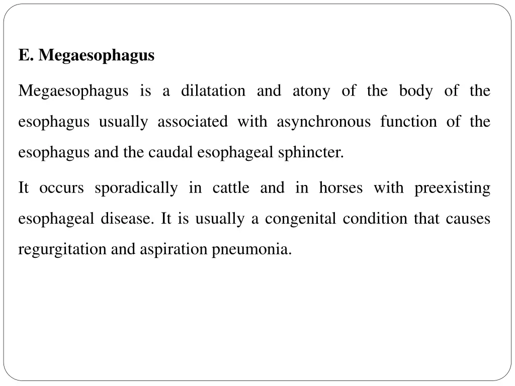 e megaesophagus