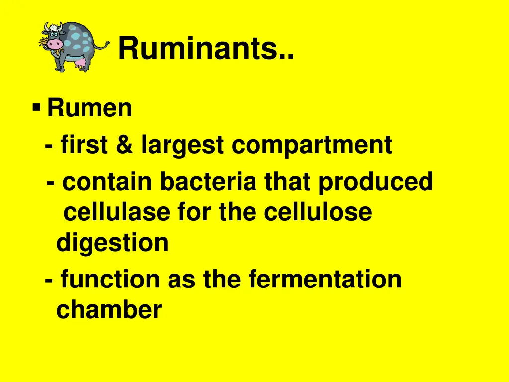 ruminants 3