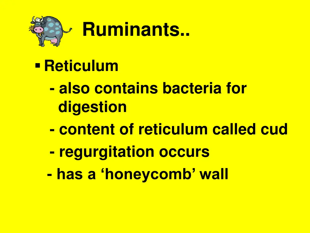 ruminants 4