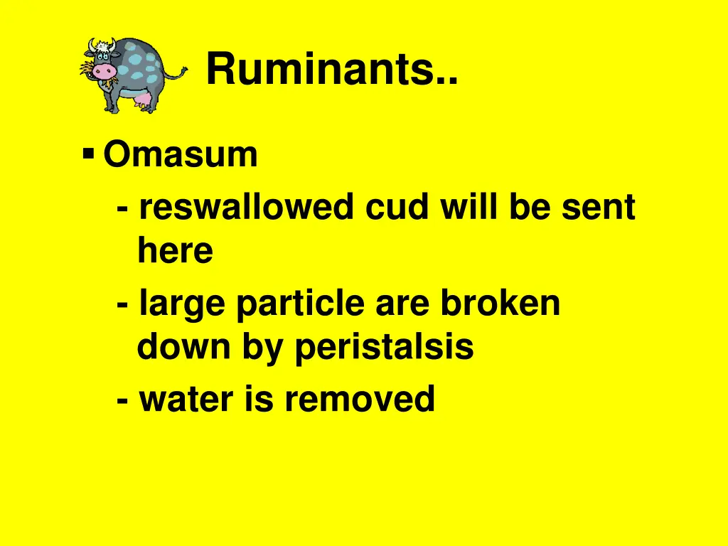 ruminants 5