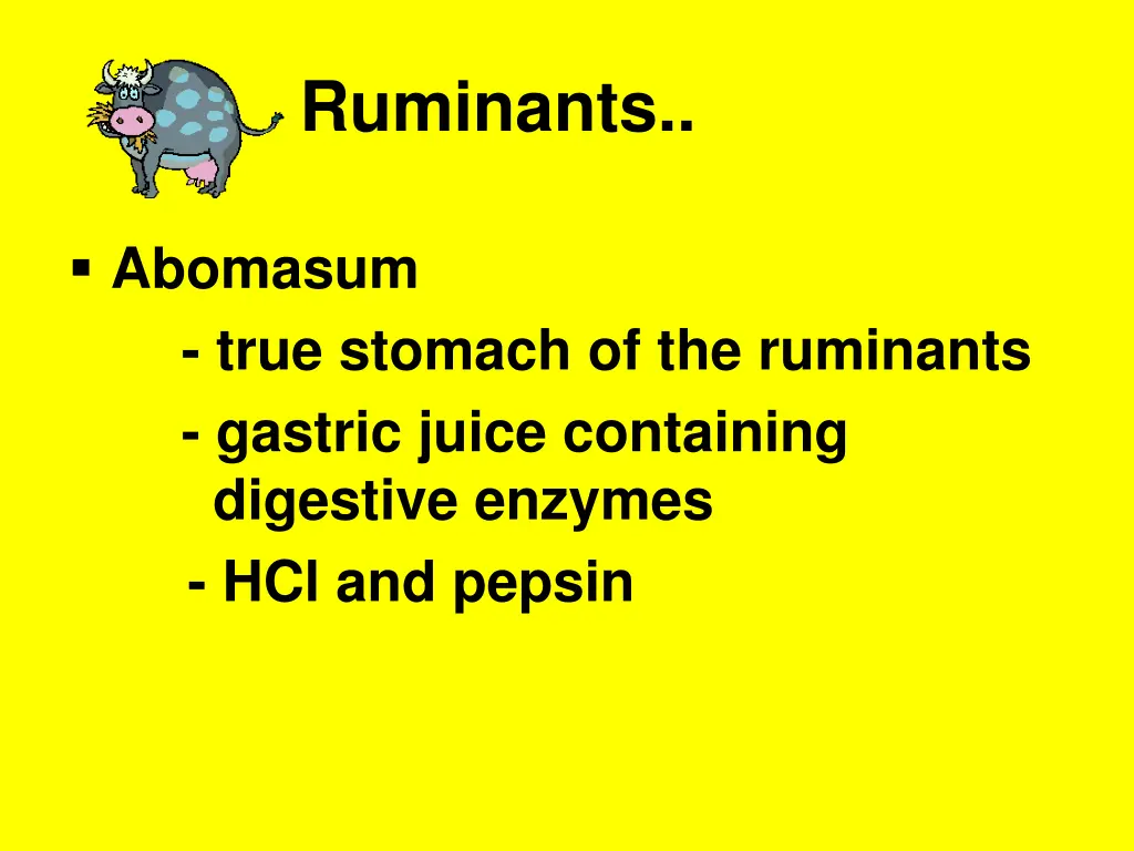 ruminants 6