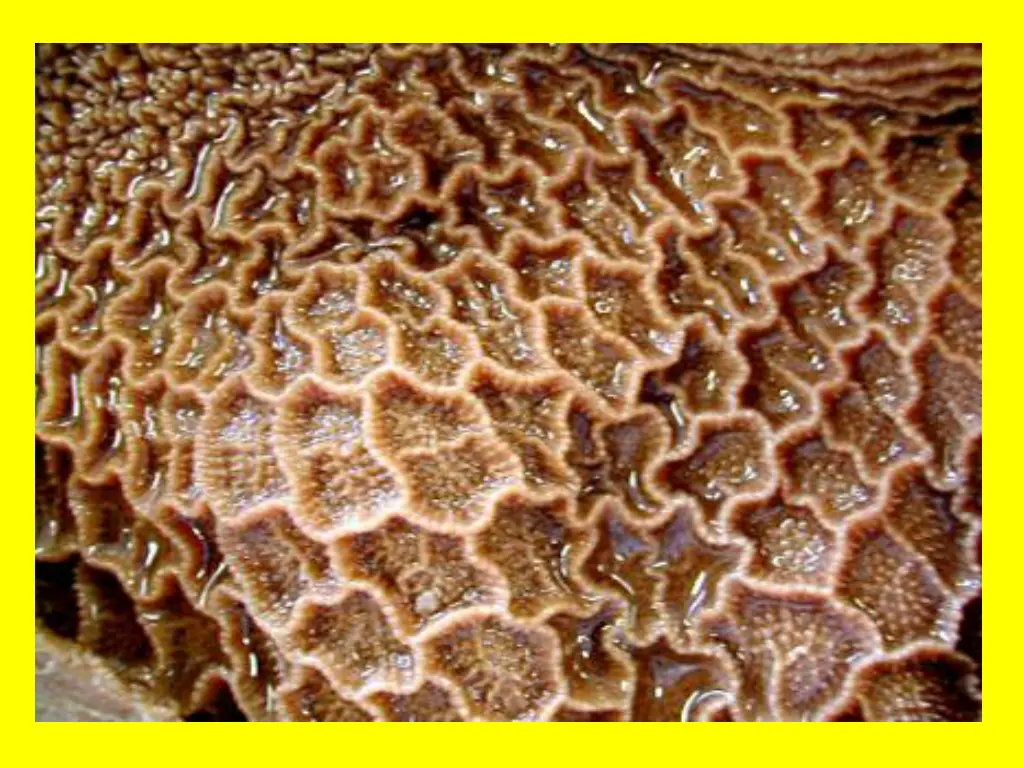 slide15