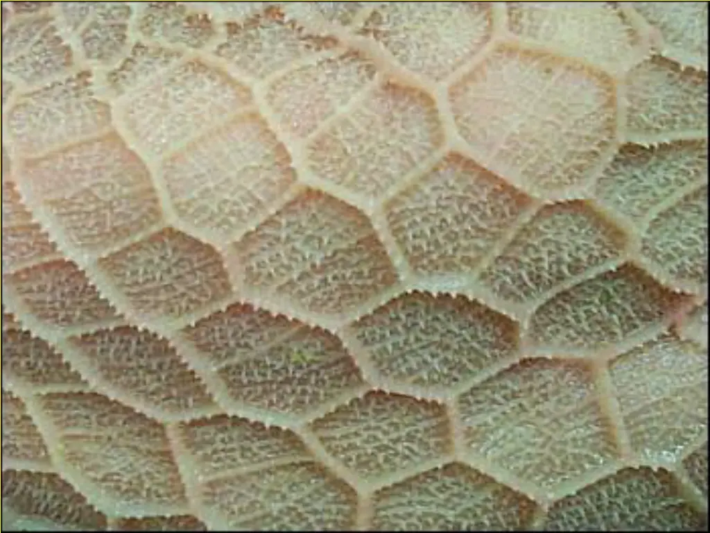 slide16