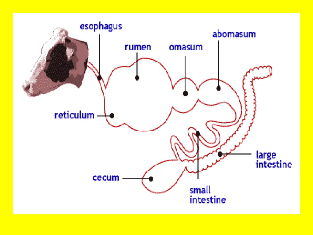 slide23