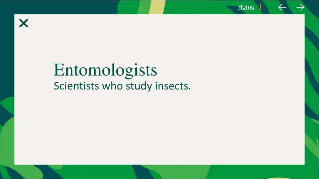 slide4