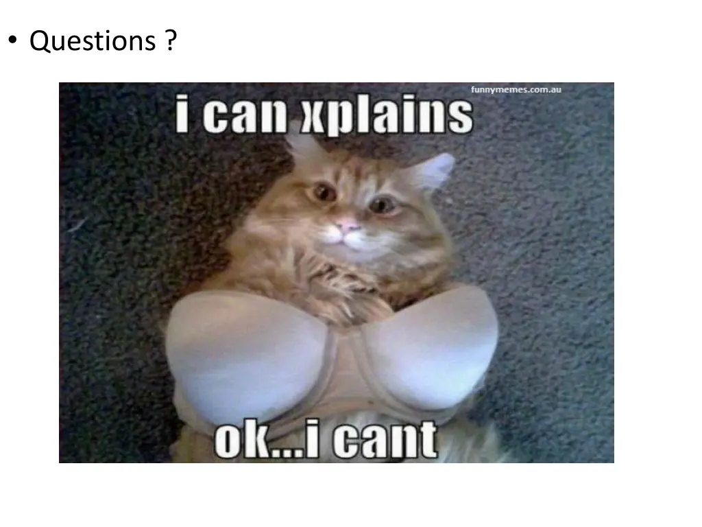 questions