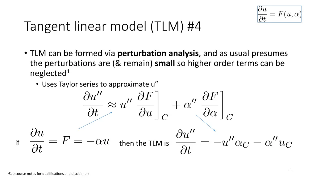 tangent linear model tlm 4