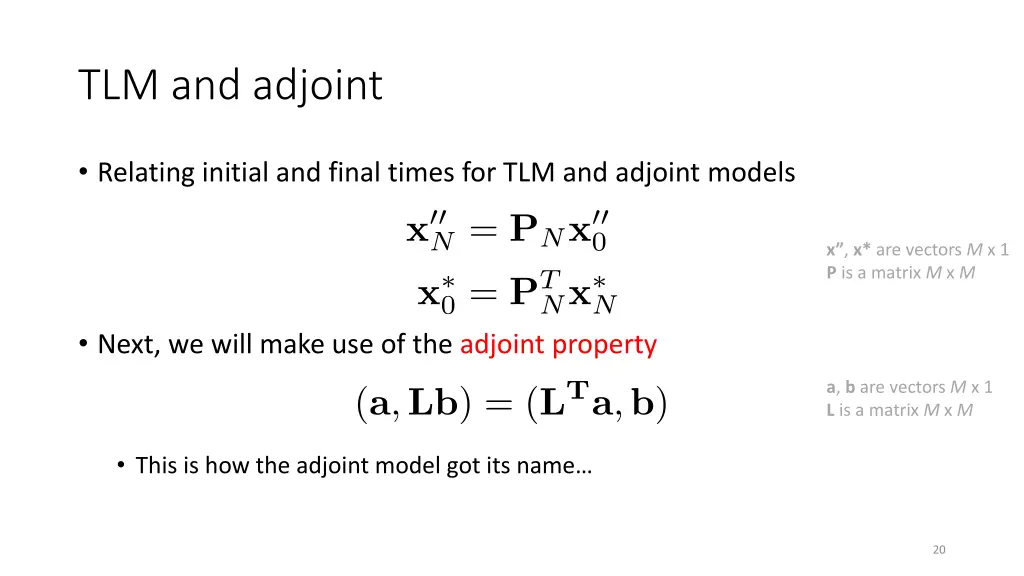 tlm and adjoint