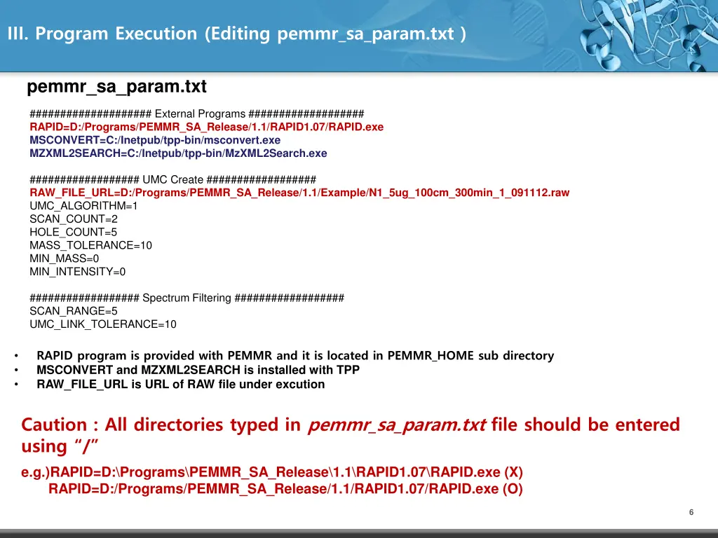 iii program execution editing pemmr sa param txt