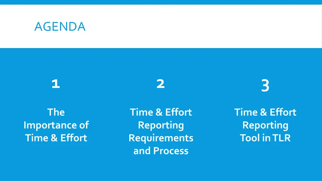 agenda