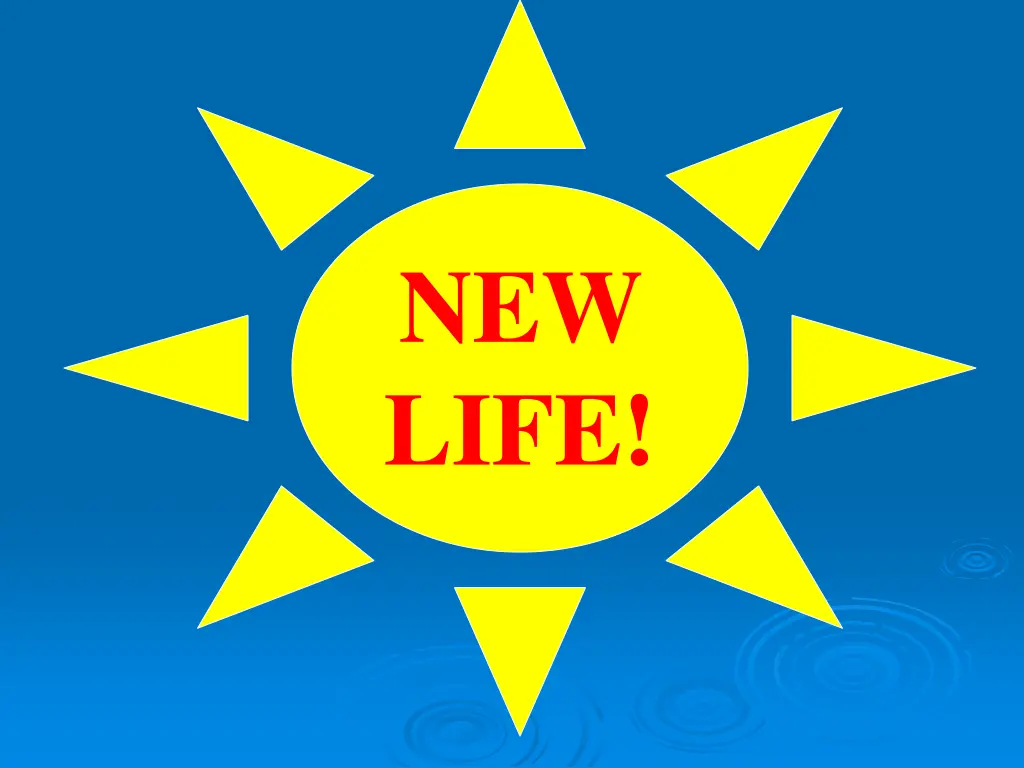 new life