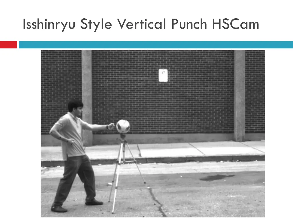 isshinryu style vertical punch hscam