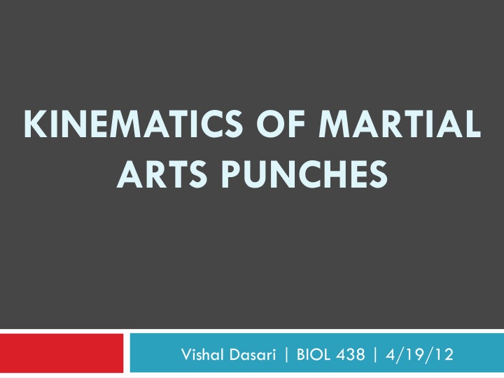 kinematics of martial arts punches