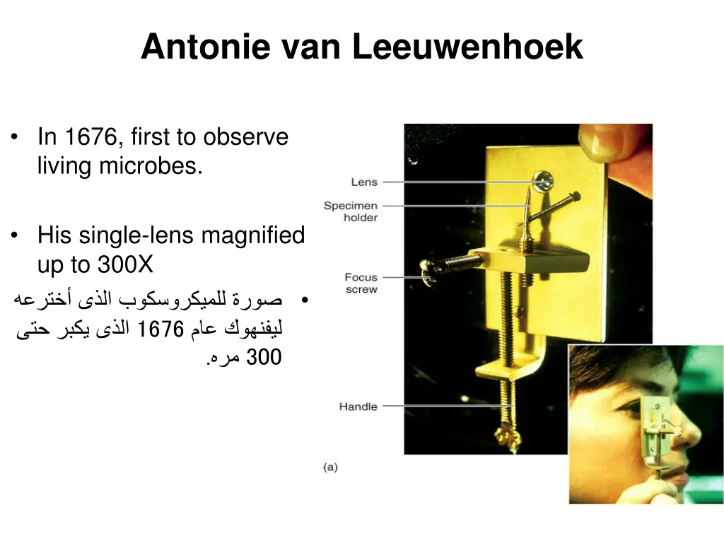 antonie van leeuwenhoek 1
