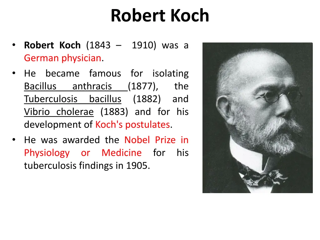 robert koch