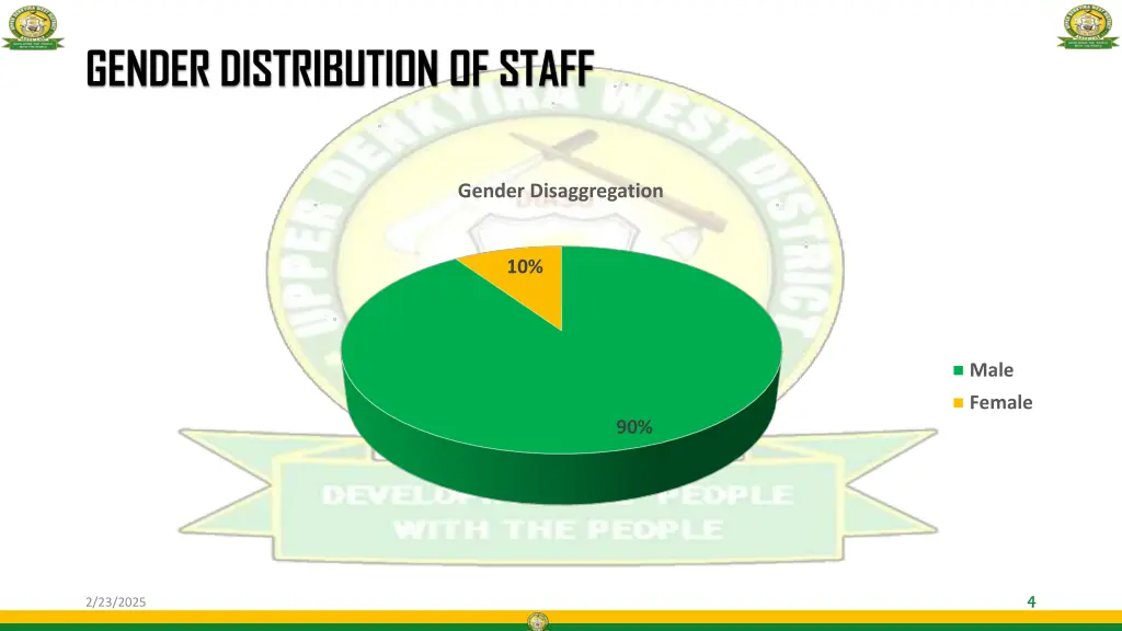 gender distribution of staff