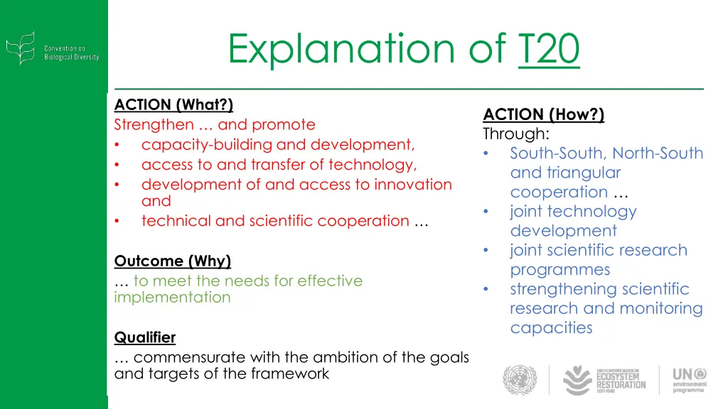 explanation of t20