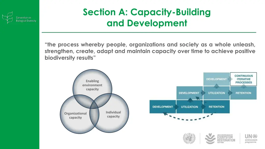 section a capacity building and development