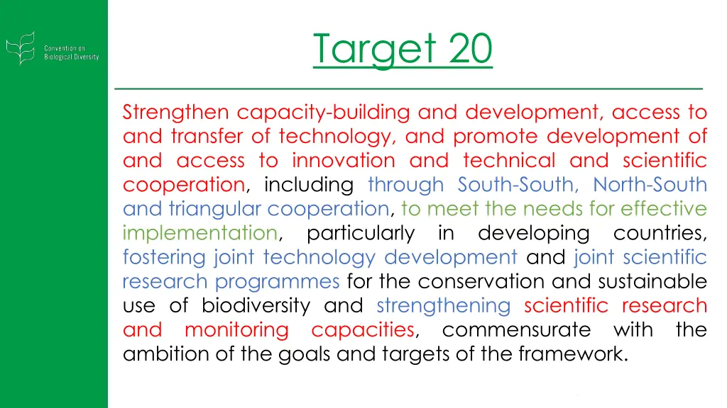 target 20