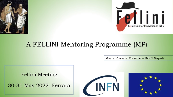 a fellini mentoring programme mp