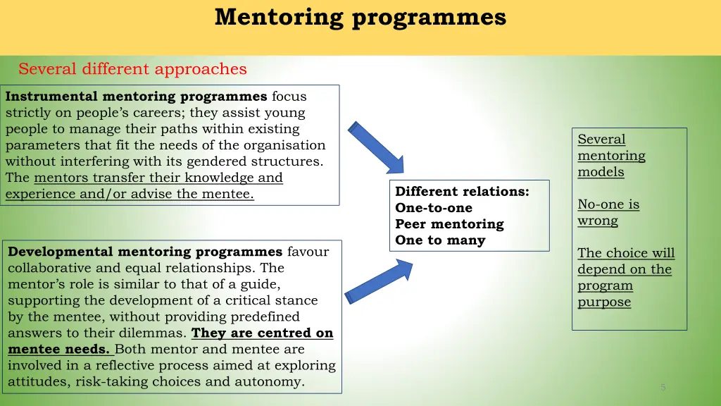 mentoring programmes