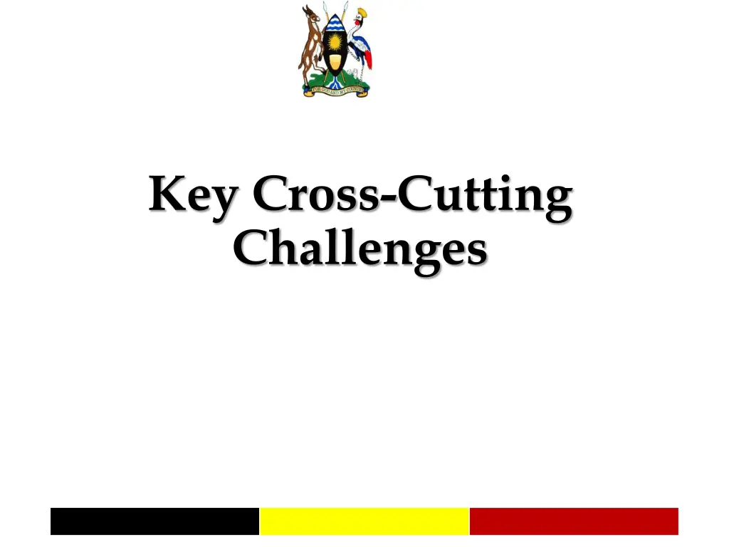 key cross cutting challenges