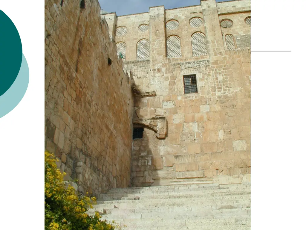 slide7