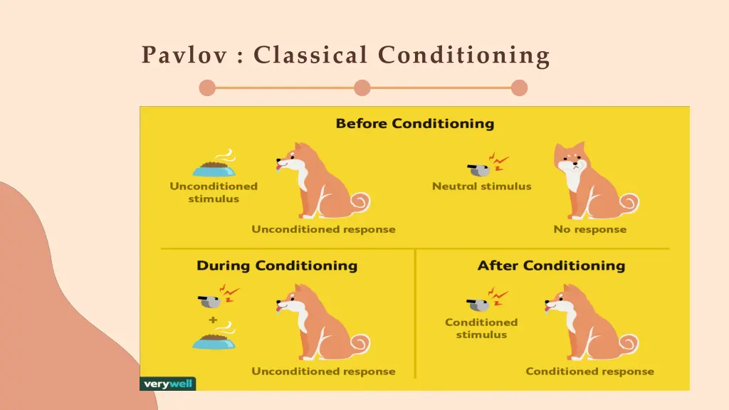 pavlov classical conditioning
