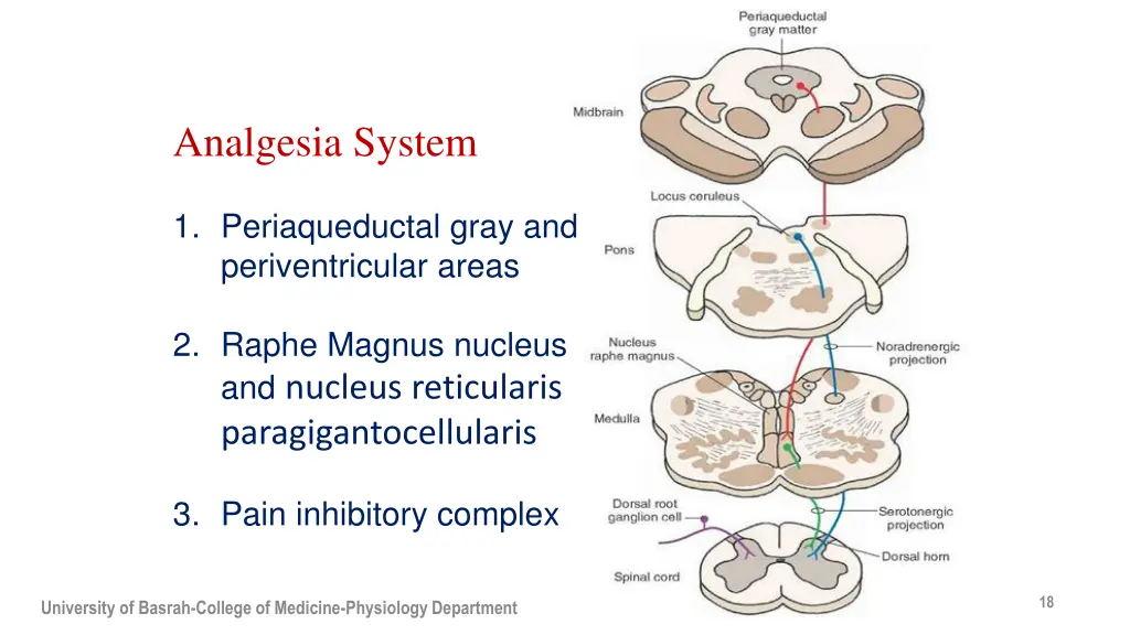 analgesia system